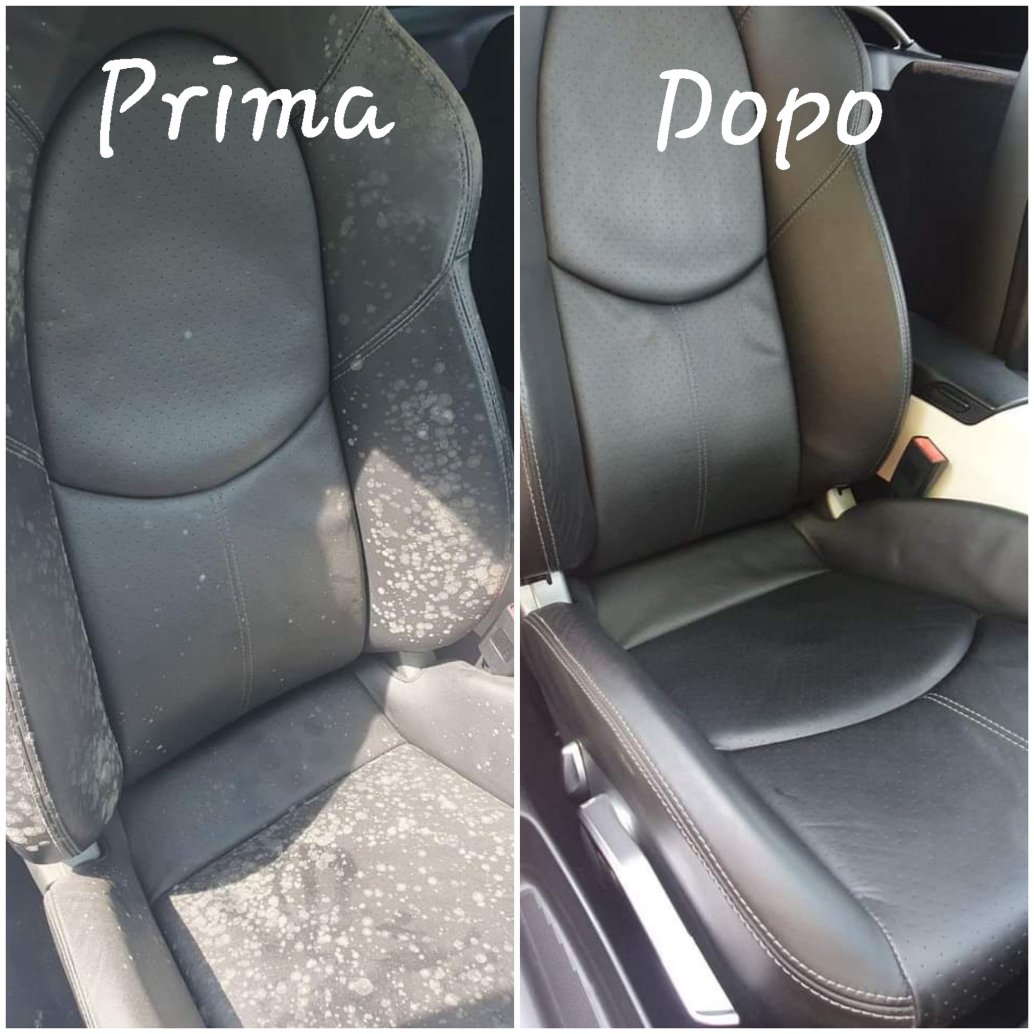Car Detailing 3